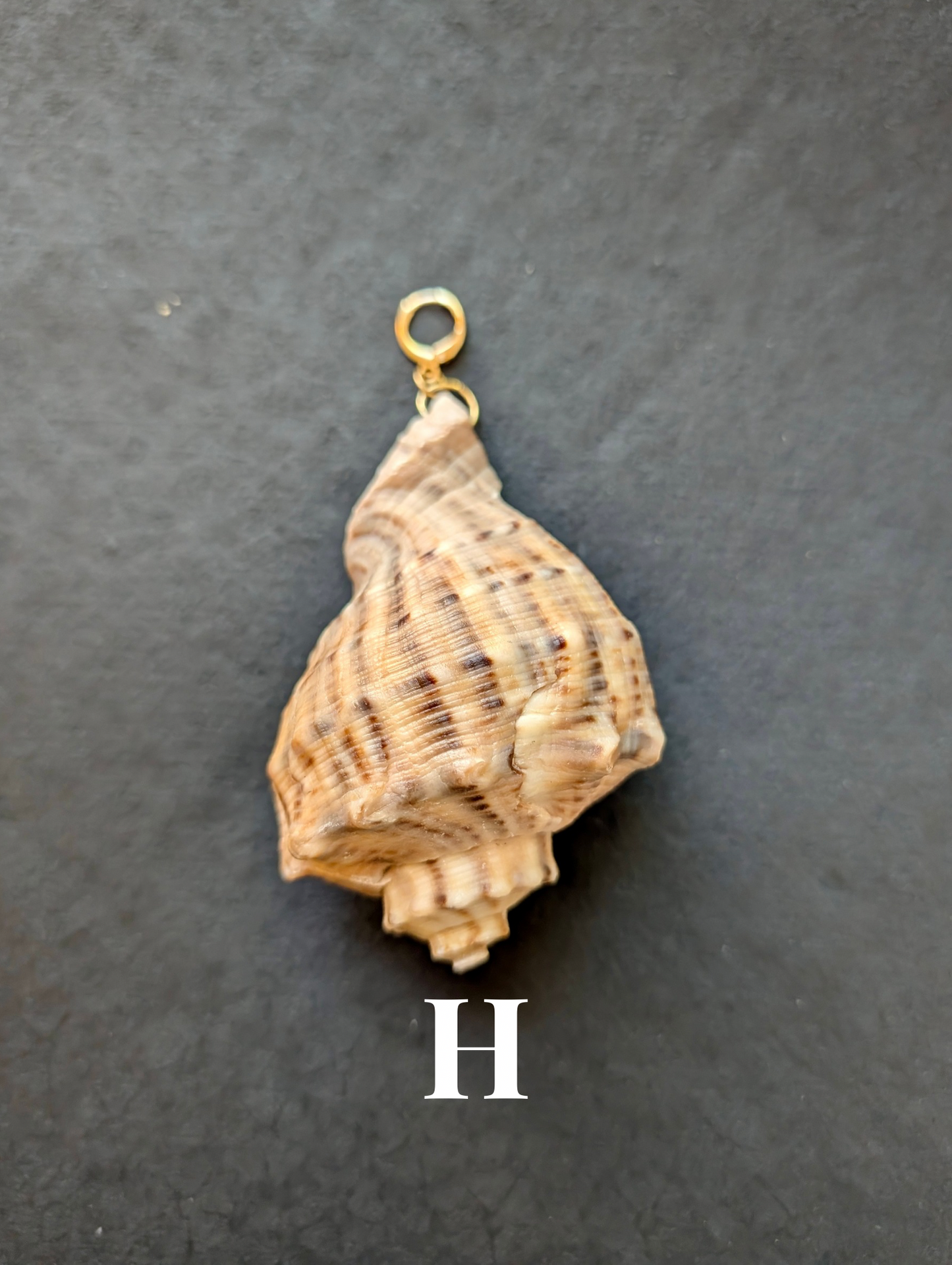 Siren - Detachable Shell Charms