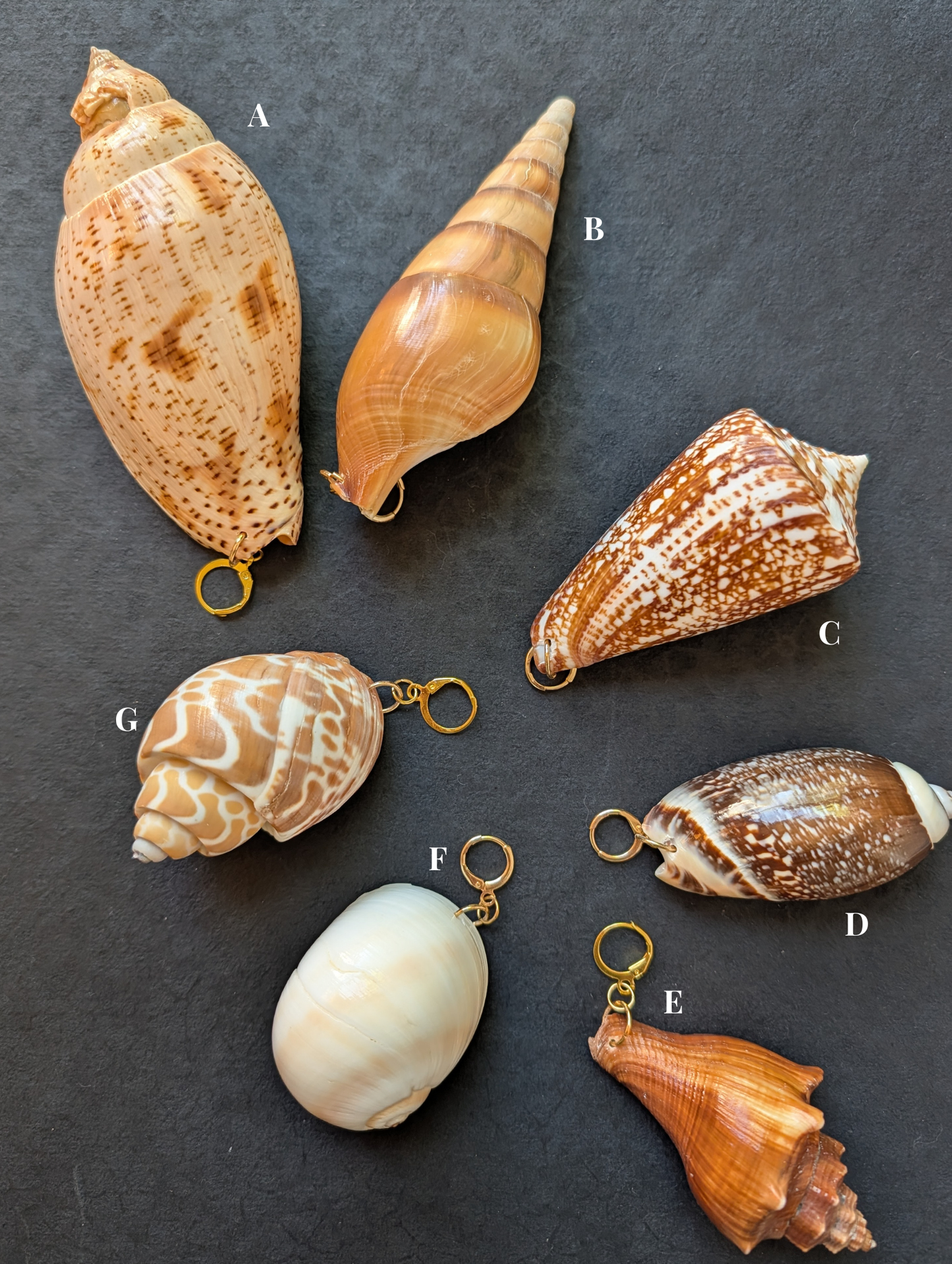 Siren - Detachable Shell Charms - Part II