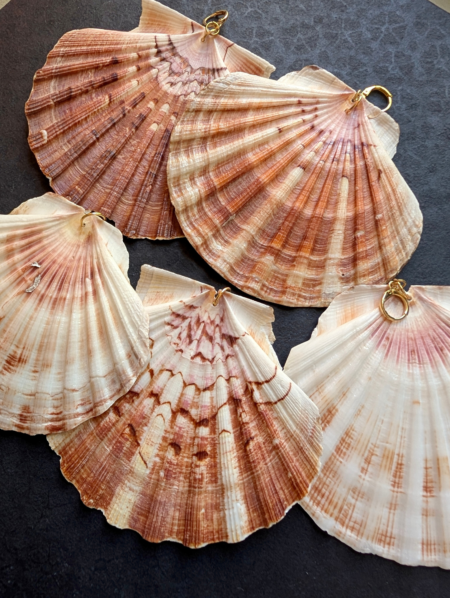 Irish Scallops - Detachable Shell Charms