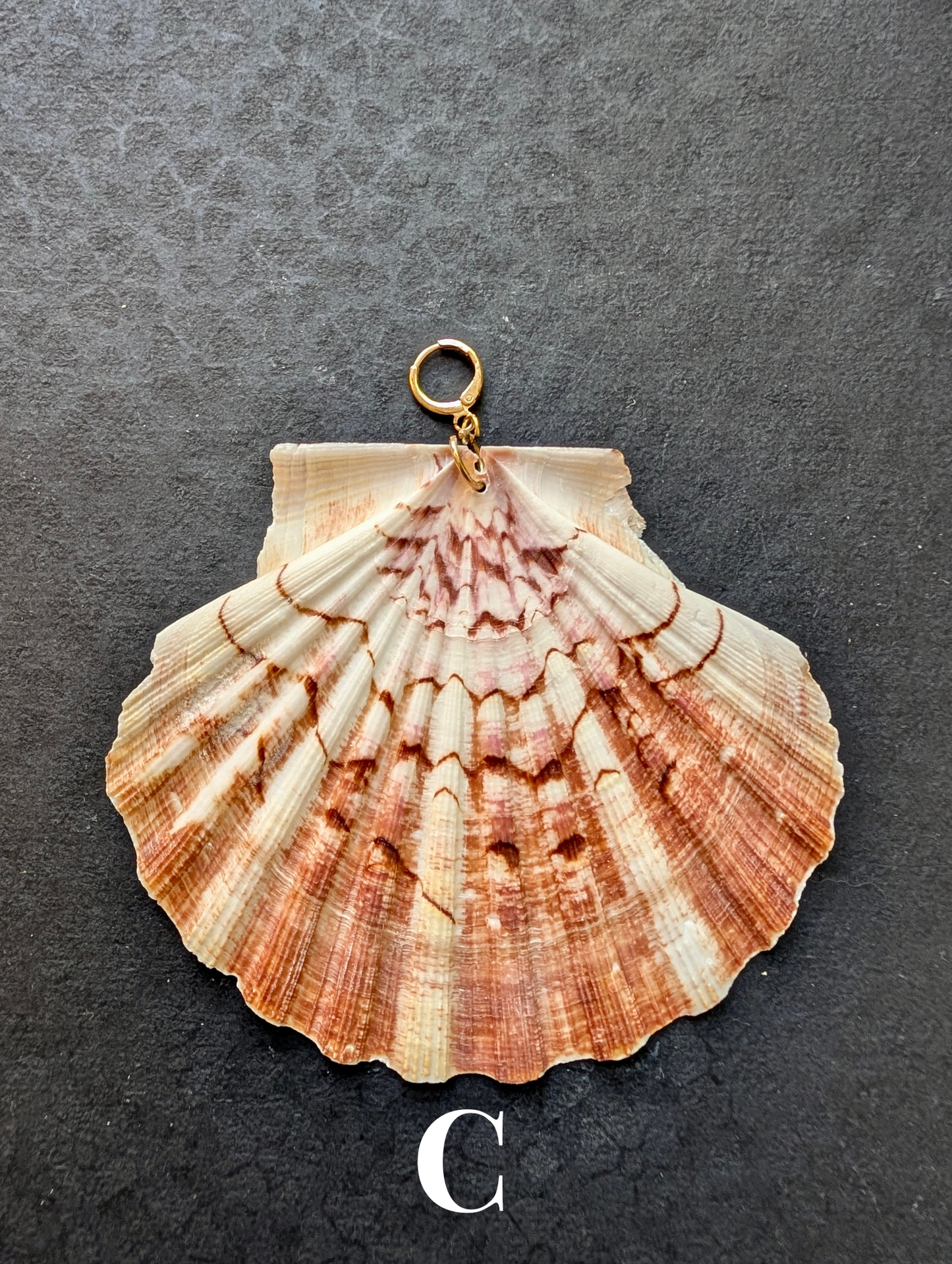 Irish Scallops - Detachable Shell Charms