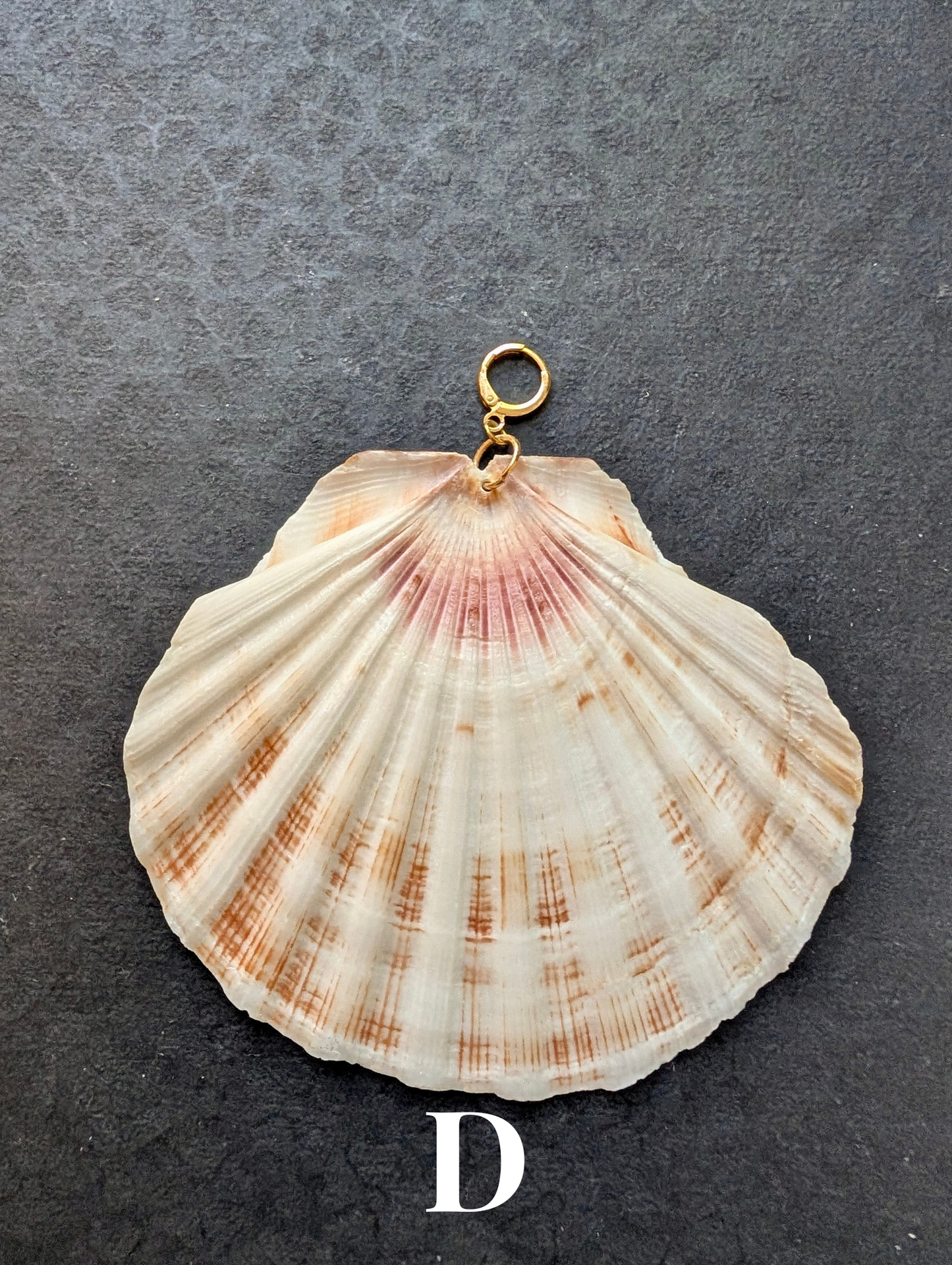 Irish Scallops - Detachable Shell Charms