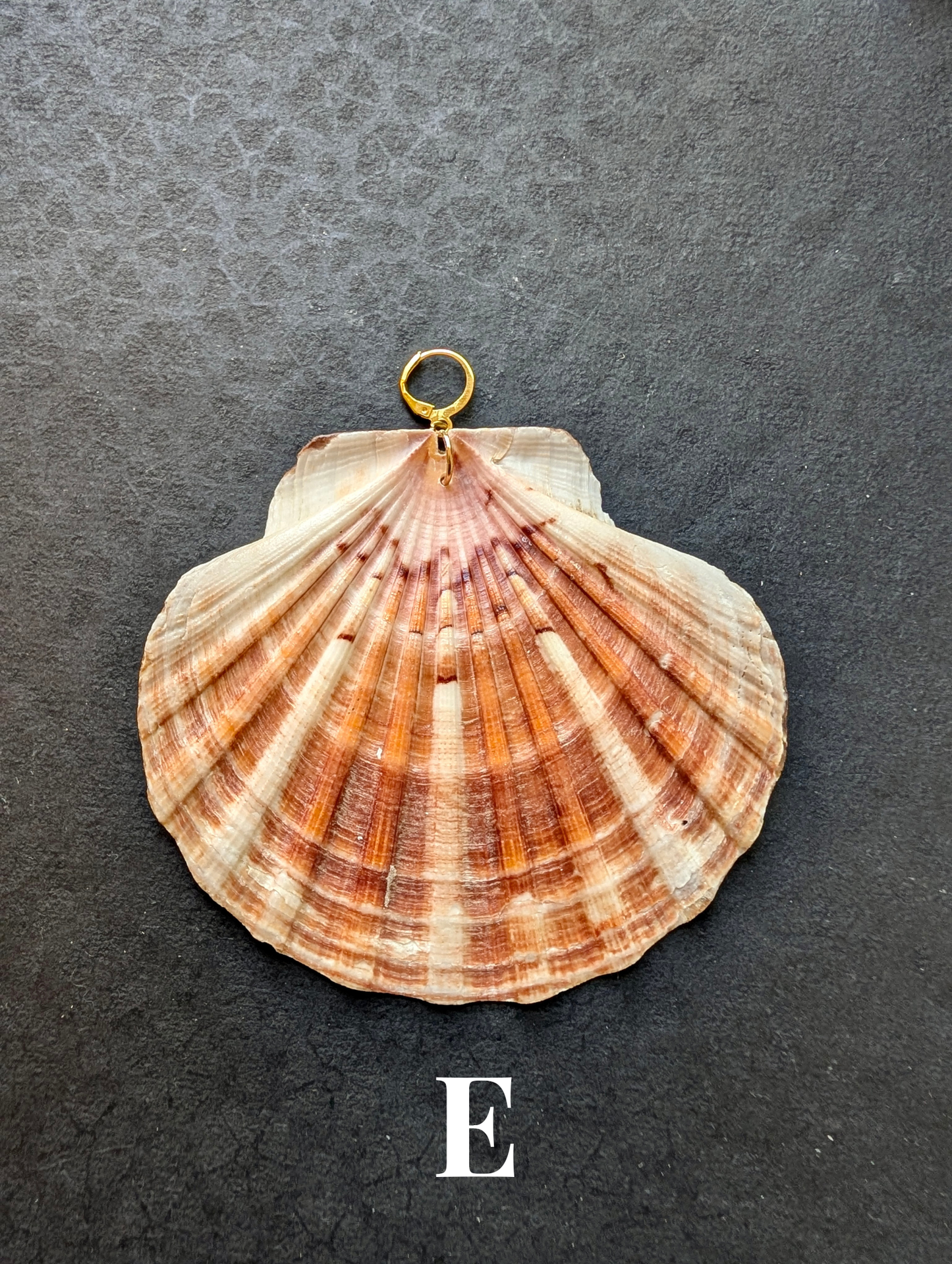 Irish Scallops - Detachable Shell Charms