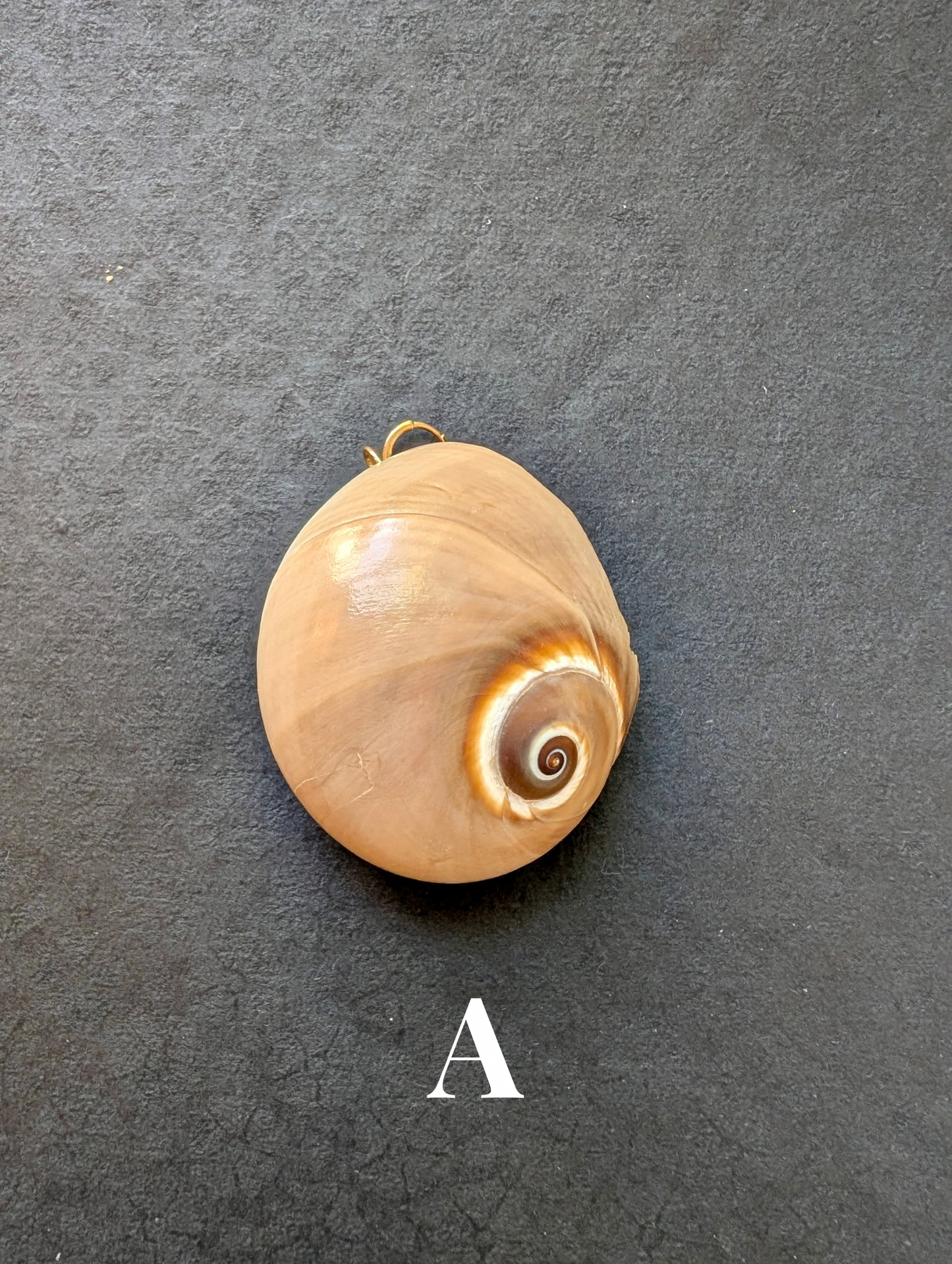 Siren - Detachable Shell Charms