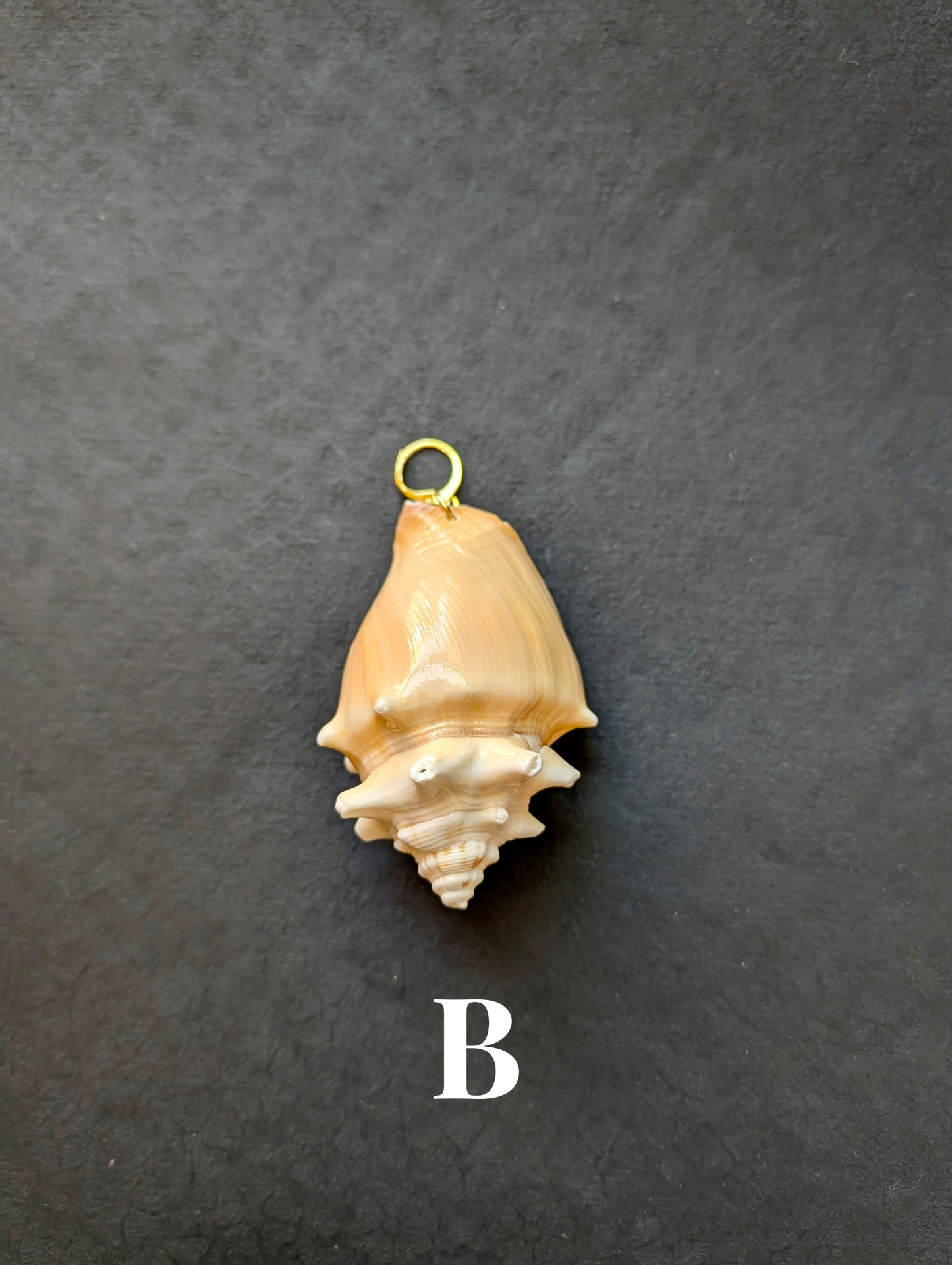 Siren - Detachable Shell Charms