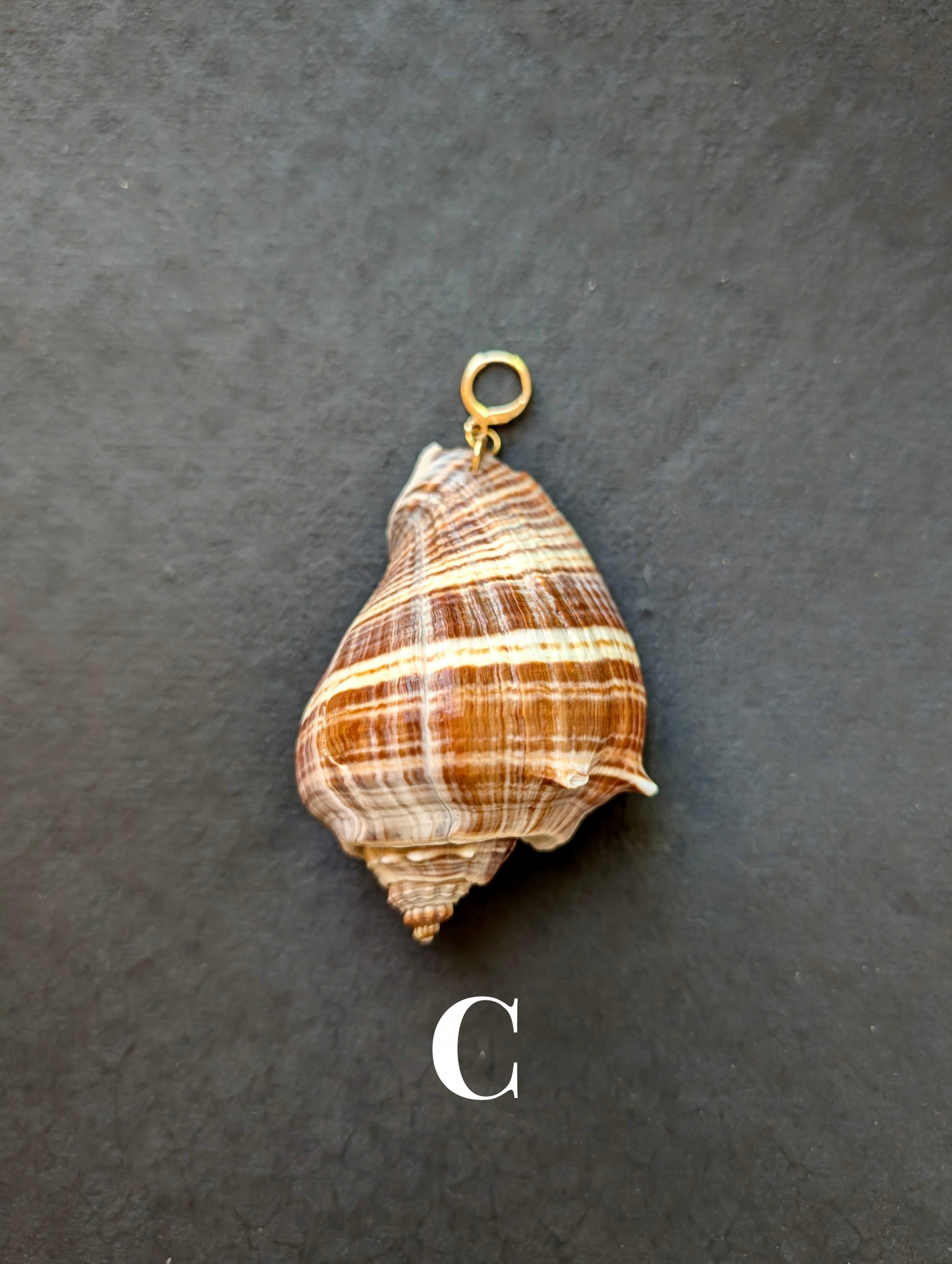 Siren - Detachable Shell Charms