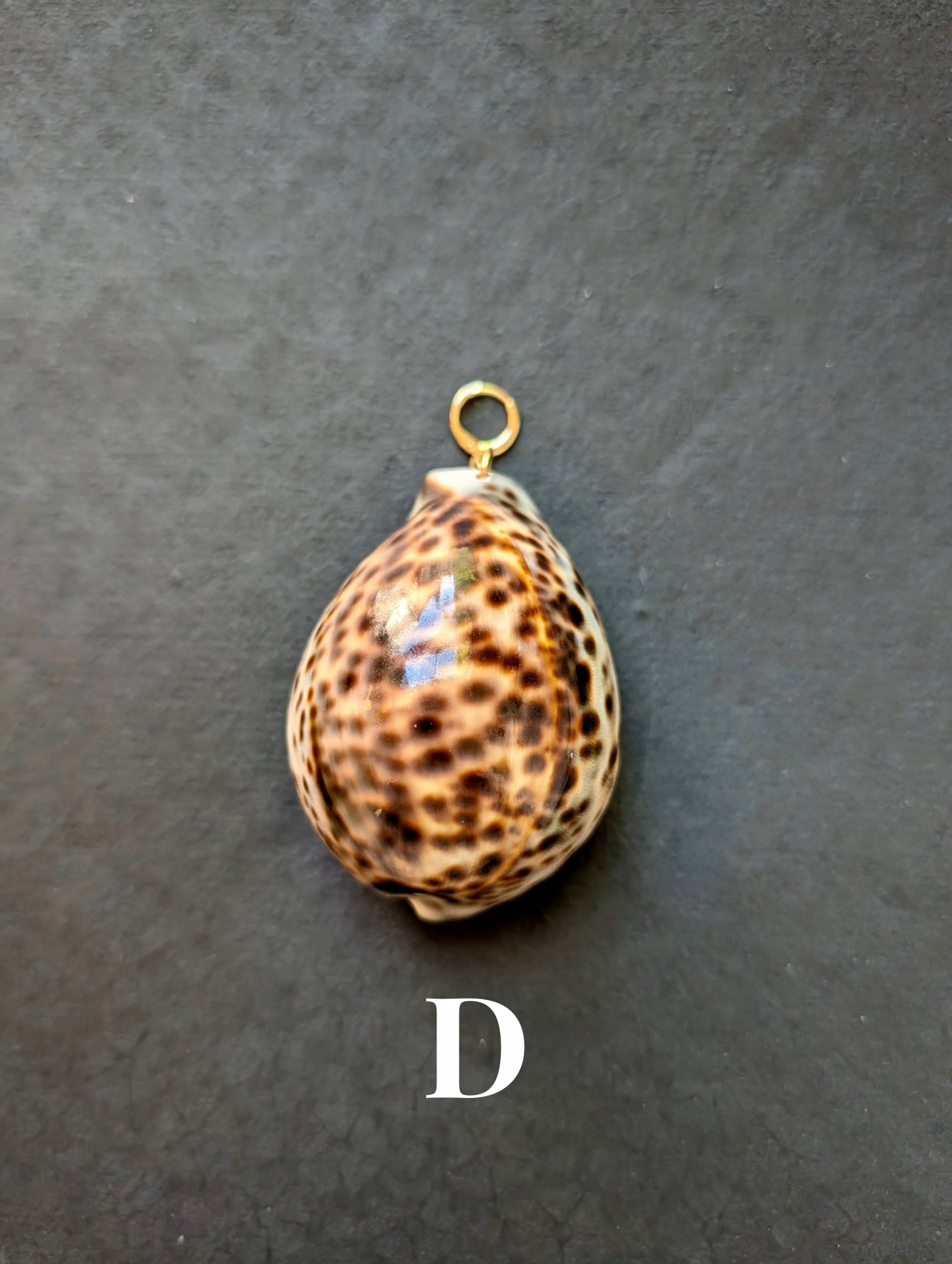 Siren - Detachable Shell Charms