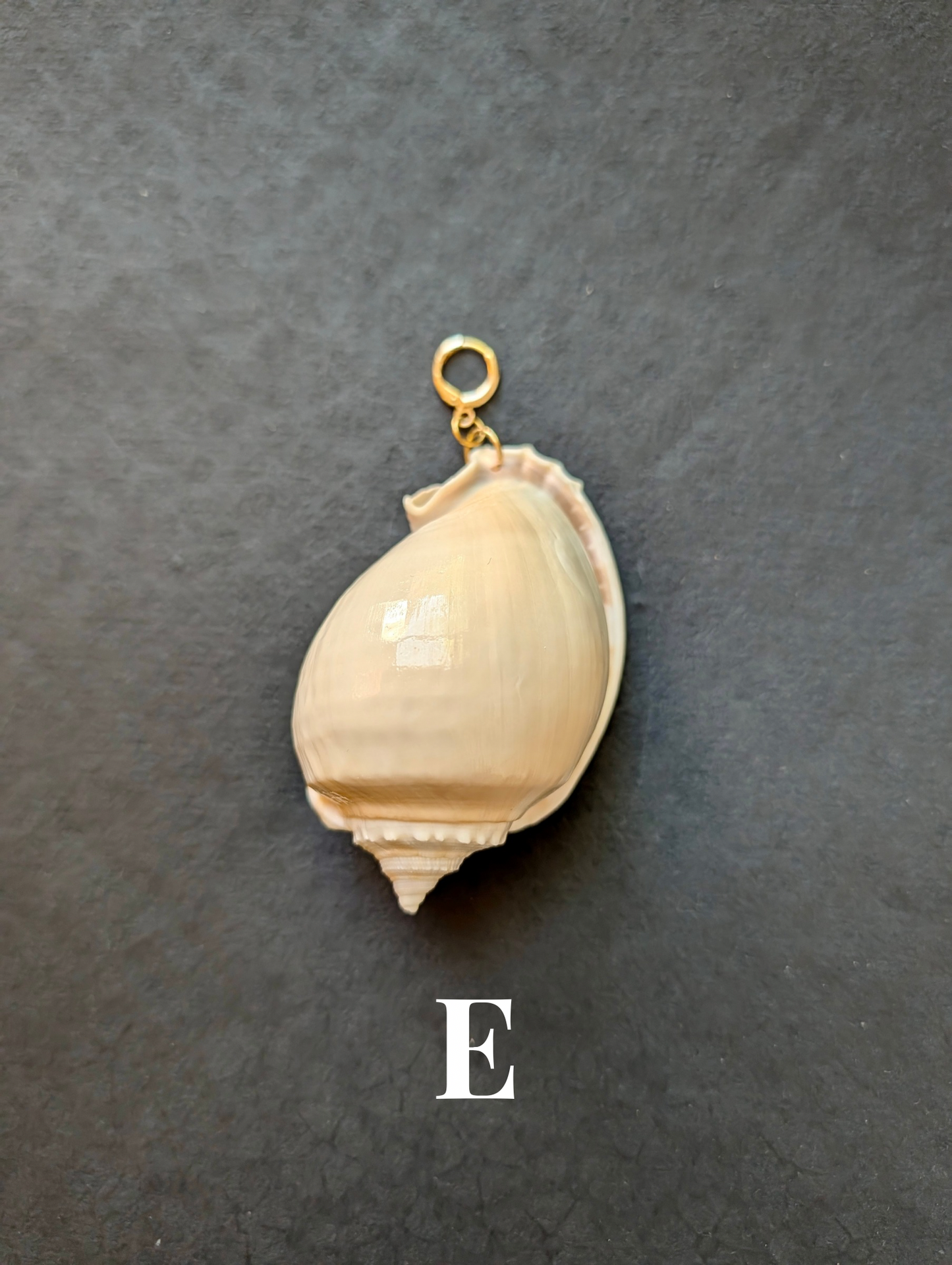 Siren - Detachable Shell Charms