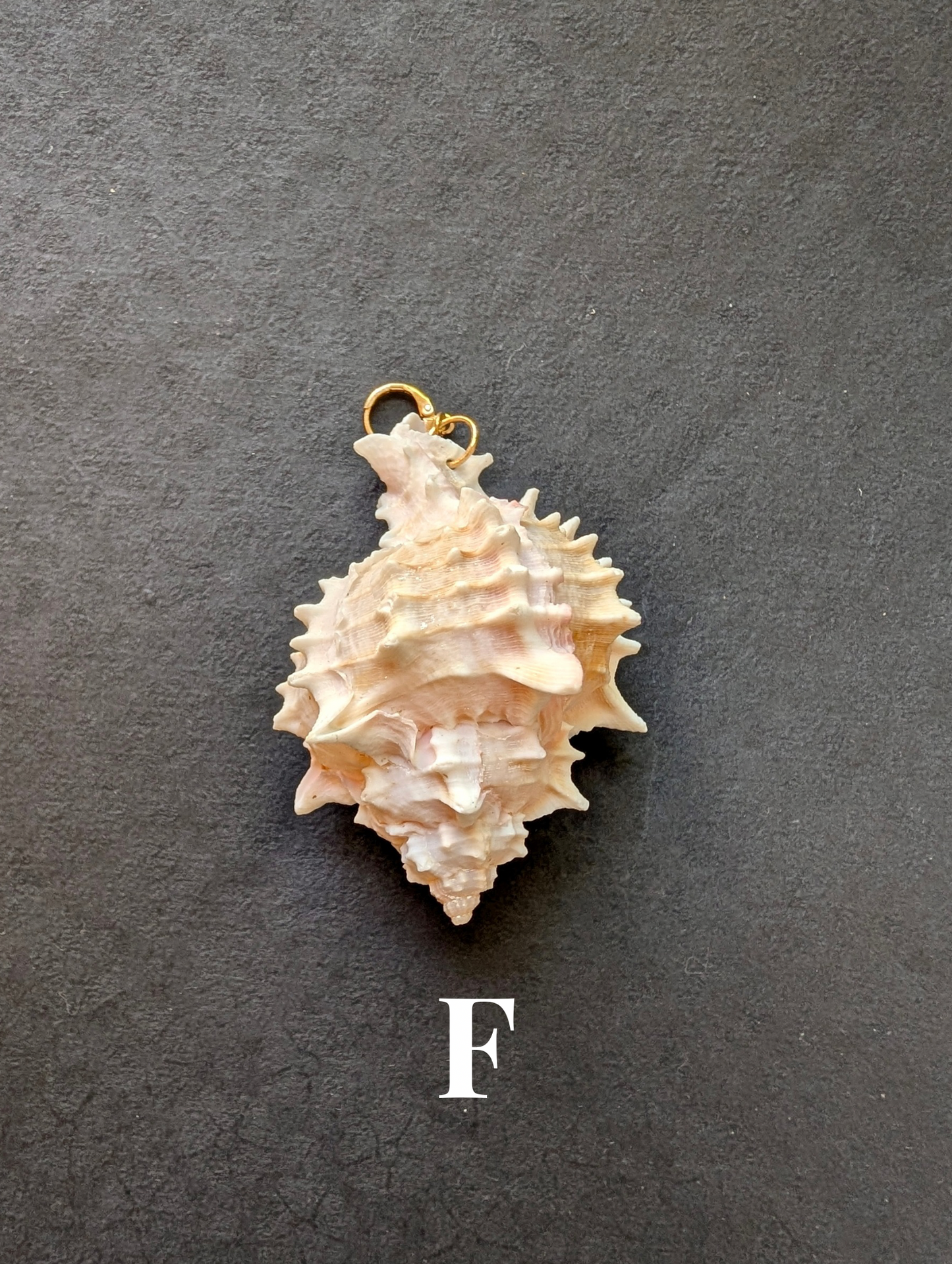 Siren - Detachable Shell Charms