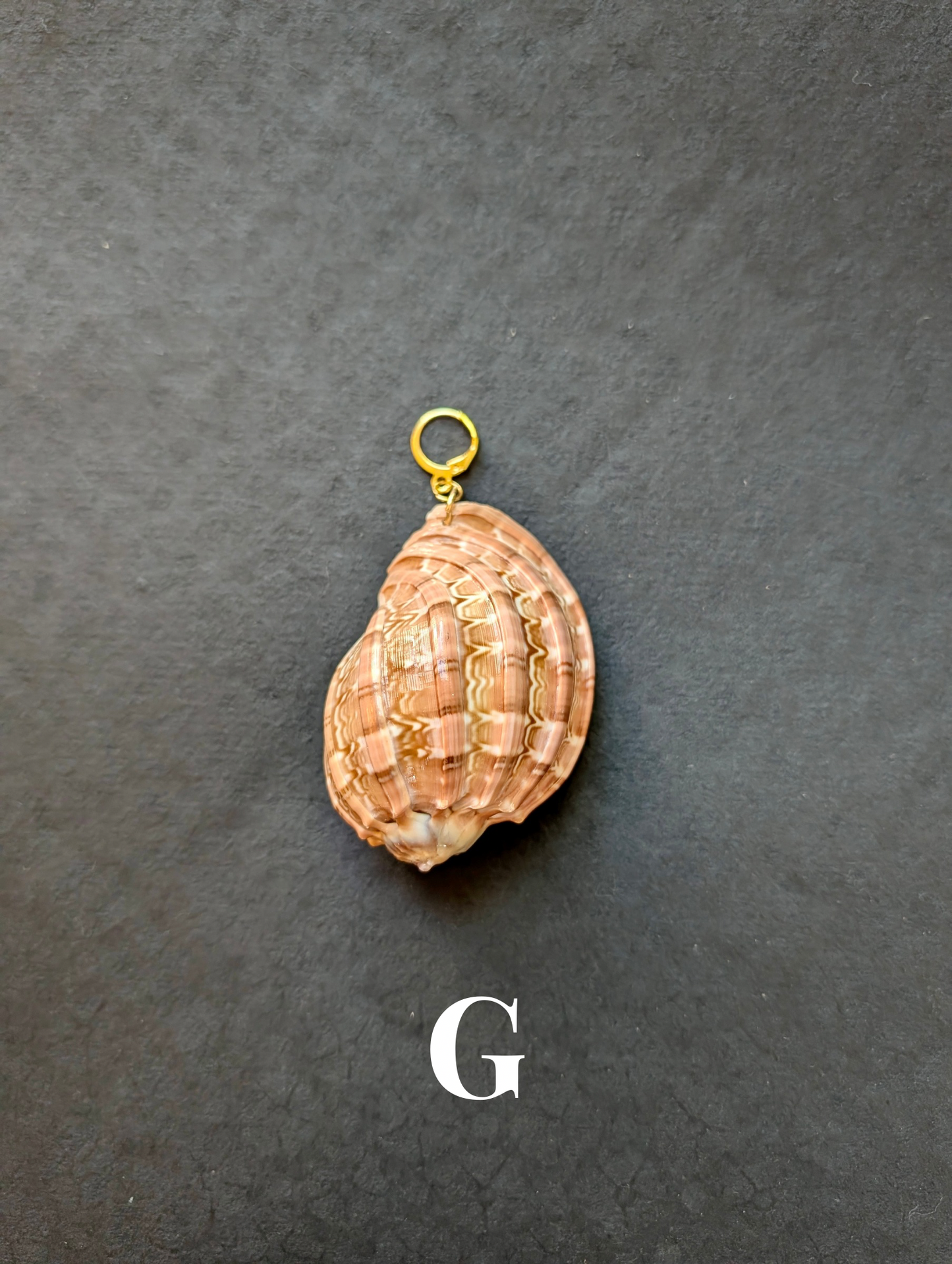 Siren - Detachable Shell Charms