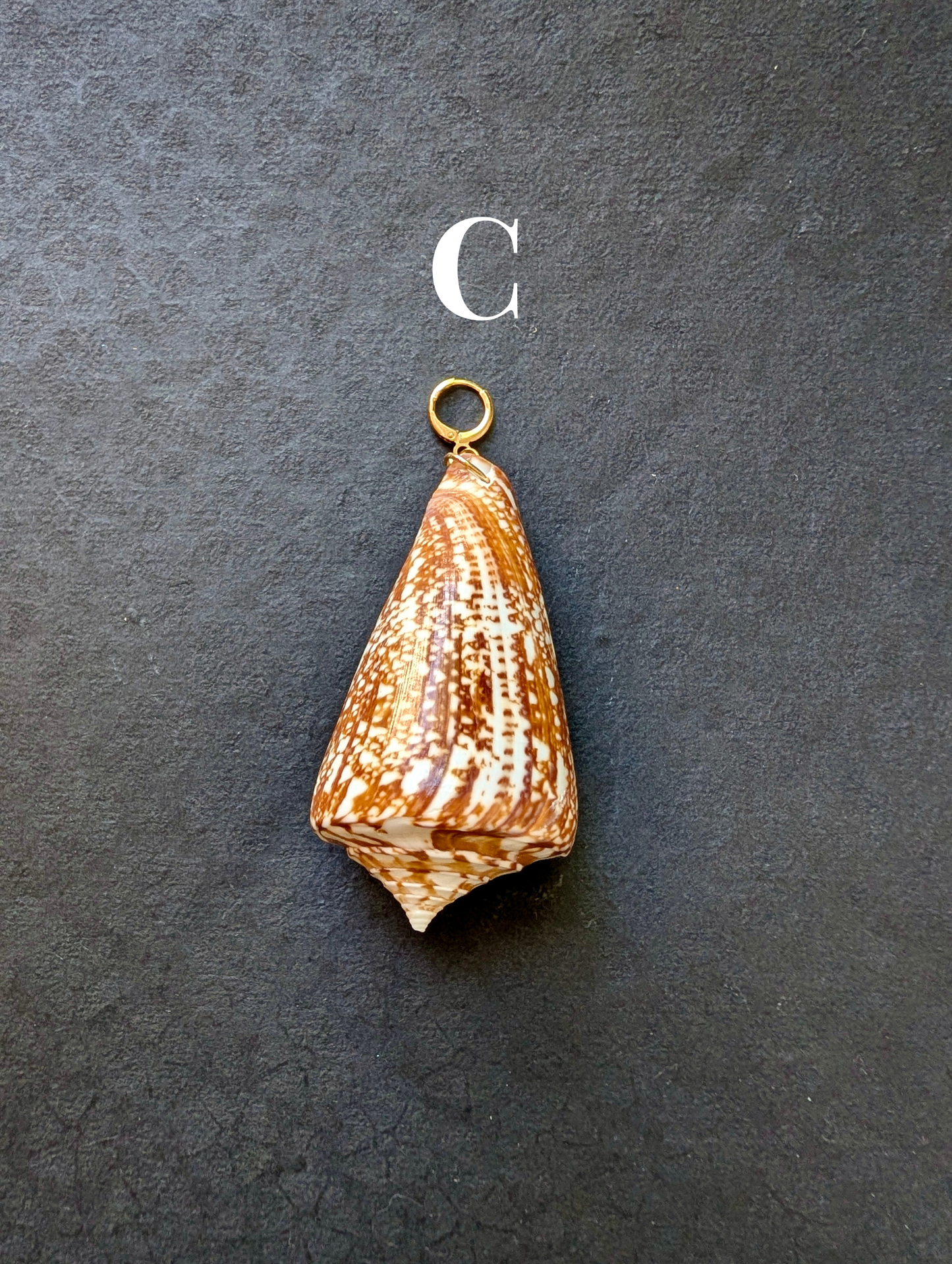 Siren - Detachable Shell Charms - Part II