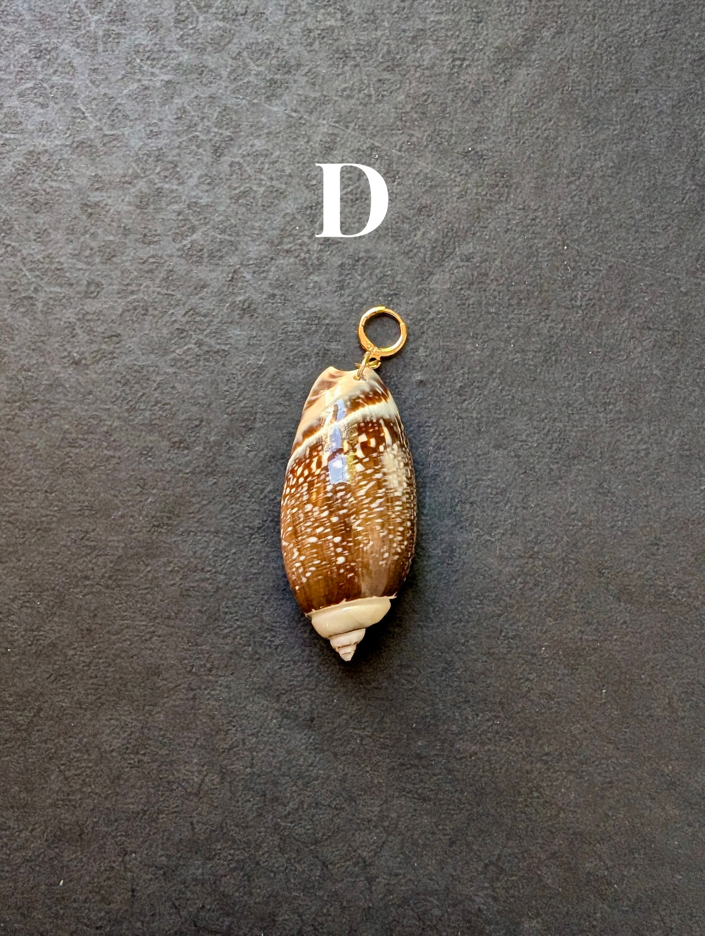 Siren - Detachable Shell Charms - Part II