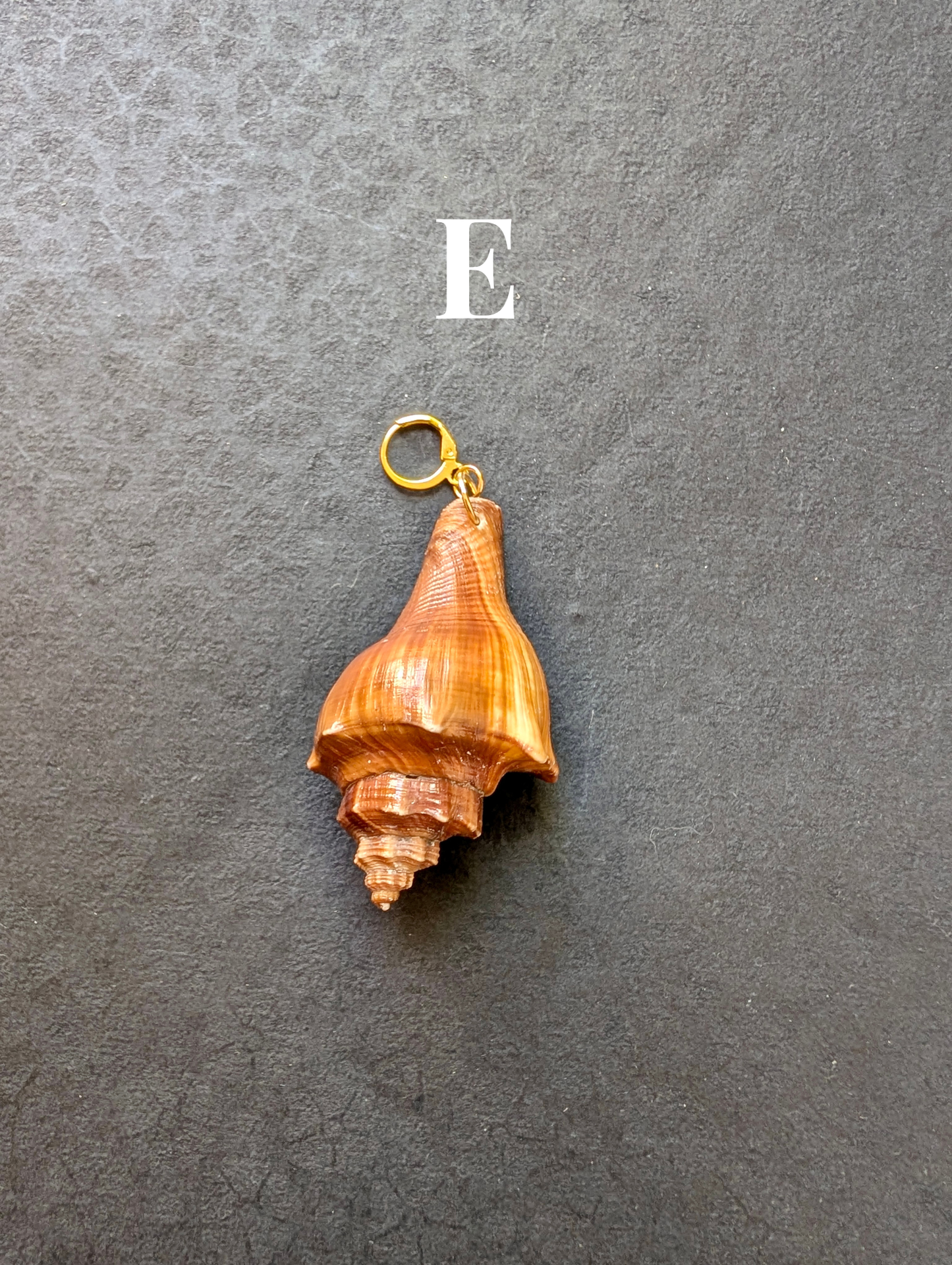 Siren - Detachable Shell Charms - Part II