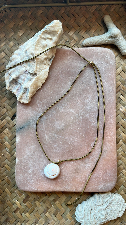 Shell Baby I