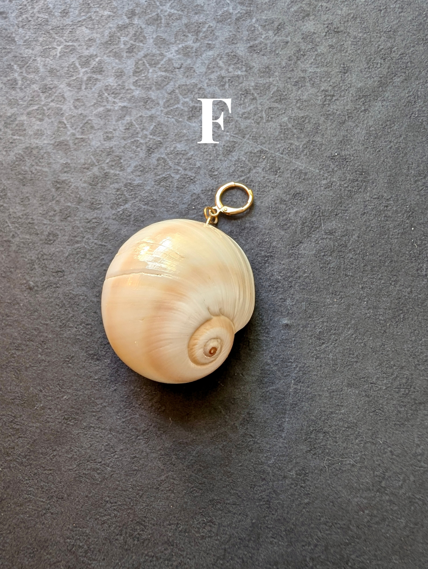 Siren - Detachable Shell Charms - Part II