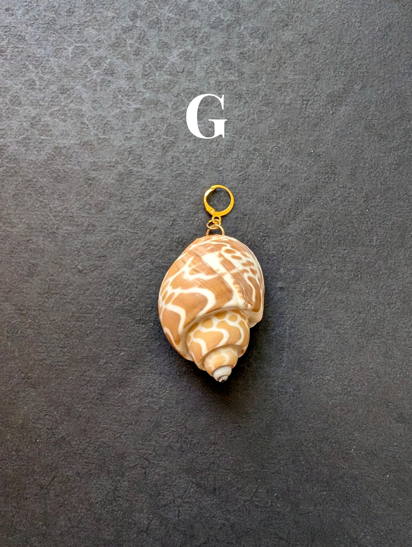 Siren - Detachable Shell Charms - Part II