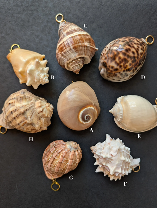 Siren - Detachable Shell Charms