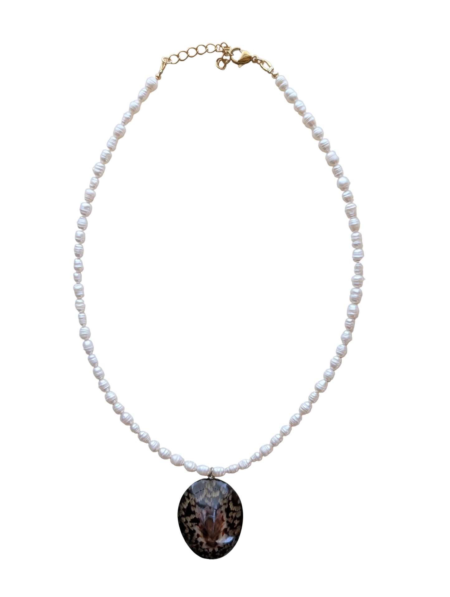 The Dainty Limpet Necklace
